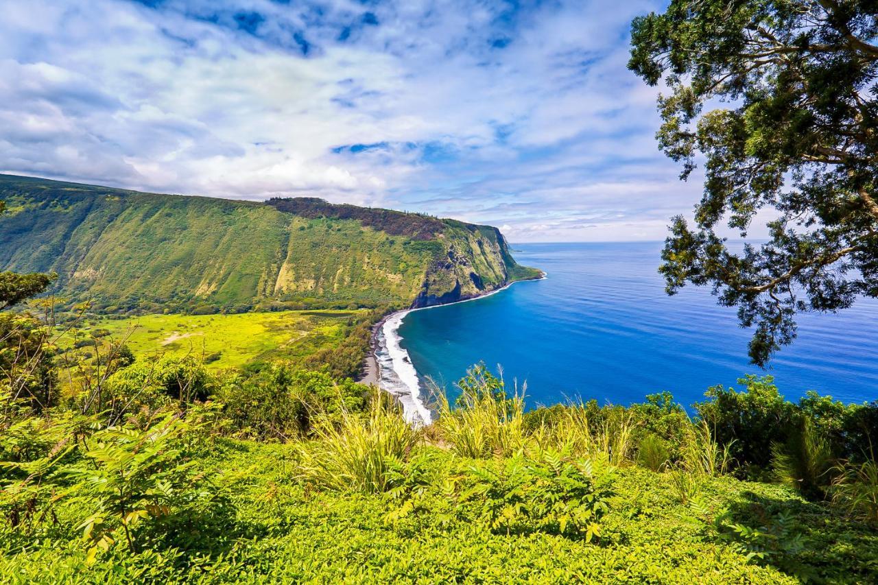 فندق Kona Bali Kai #165 كايلو كونا المظهر الخارجي الصورة